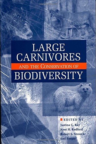 大型Carnivores
